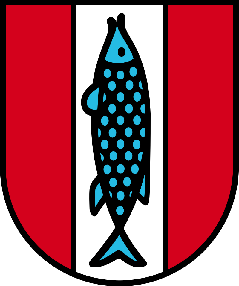 IT Jobs in Kaiserslautern